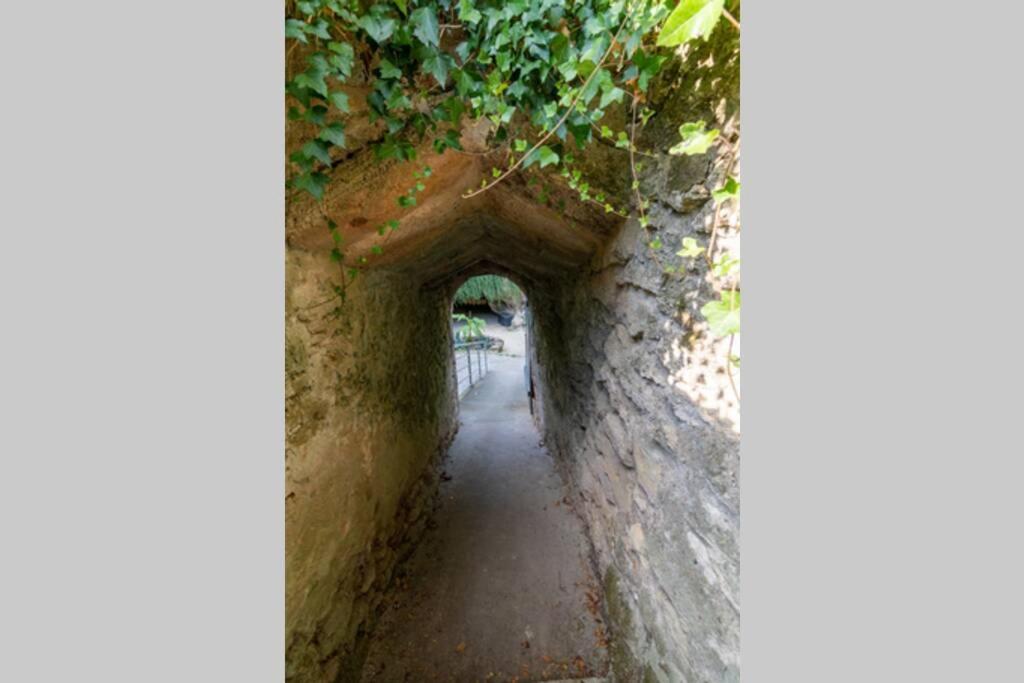 Maison Troglodytique Doue La Fontaine Dış mekan fotoğraf